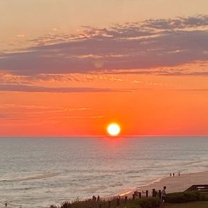 Meet your Posher, Ella